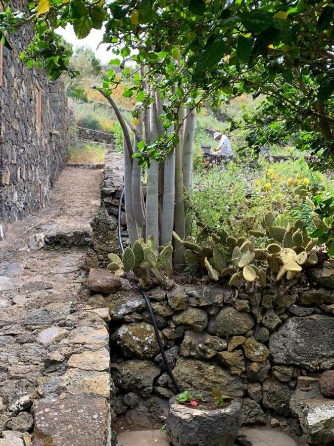 شقة Casita Pedro Gonzalez Erese المظهر الخارجي الصورة
